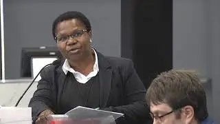 Commission of Inquiry into State Capture_Testimony by Dr and Prof