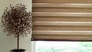 Vista Sheer-Dimout Zebra Blinds