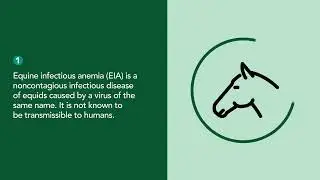 Equine Infectious Anemia (EIA) | Merck Veterinary Manual