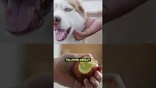 Sense of touch in VR?! 😮 🖐️  