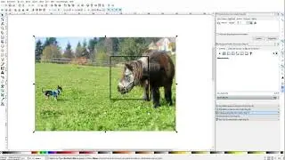 Inkscape: Bildausschnitt