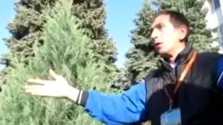 Срочно!  Выступление министра культуры новороссии.