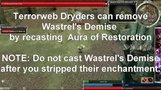 Guild Wars - ToPK Solo Ecto Farming A/Me EXPLAINED
