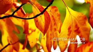 Сергей Марков - 