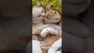 Ночной диалог!Улыбнемся😉