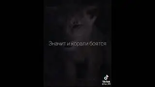 29 мая 2021 г.