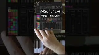 Ableton Chord Generator Amazing 😝 M4L CHORDimist 