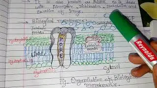 Mechanism of transport || Pharmacokinetics || General pharmacology || L-2||  GPAT preparation