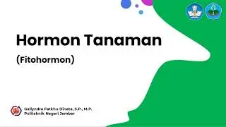 HORMON TANAMAN (FITOHORMON)