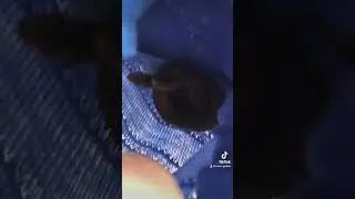 An oldie but a goodie from my TikTok 