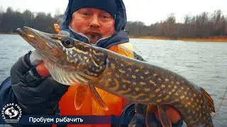 Рыбалка, Отдых на Селигере в мае 2021 года.