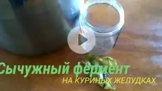 СЫЧУЖНЫЙ ФЕРМЕНТ НА КУРИНЫХ ЖЕЛУДКАХ