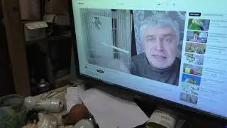 Горин Zадист глумится над птичёнкой...