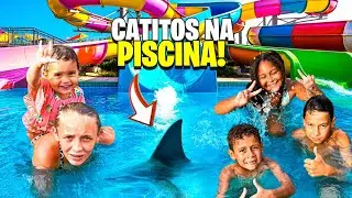 CATITOS IN THE POOL 😍
