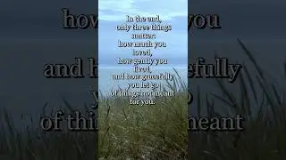 Love, Live, Let Go #buddha #buddhaquotes #buddhist #buddhism