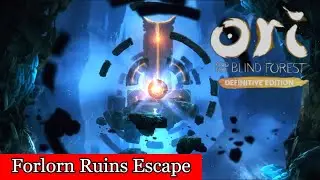 Ori and The Blind Forest- Forlorn Ruins Escape