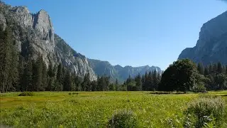 Meadows - Yosemite Nature Notes - Episode 33