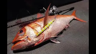 Slow Jigging Vs Conventional Fighting Style