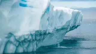 Natural World || Secret Life of Predators - Full Documentaries - Discovery Channel