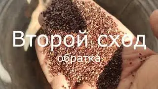 Лабораторный вибропневмостол ВПСЗ-0,3. Продукт испытания: семена щавеля.
