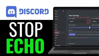 How To Fix Discord Stream Echo | Full Guide to Fix Echo on Discord 2025