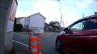鴨横断