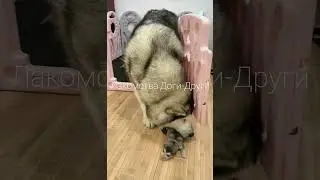 Когда 