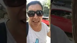 Новосибирск и тополиный пух