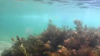 Черное море Береговой Феодосия пляж 117 часть 2