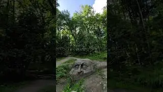 7 ноября 2023 г.