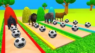 Paint Animals | Gorilla Lion Elephant Cow | Animal Fountain Crossing | fountain cartoon #fountain