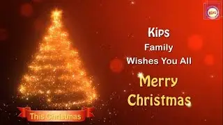 We Wish You A Merry Christmas !