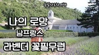 남프랑스여행 라벤더 Lavender 세낭크수도원 Senanque Abbey 고르드 Gordes 소도시여행 프로방스여행 유럽자동차여행 여행vlog 프랑스여행 39부
