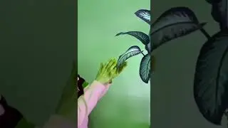 Crazy rich hulk porn.