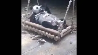 Настоящий мужик