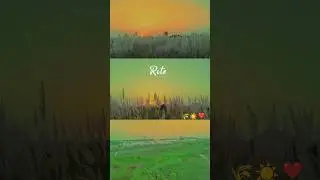 Video editing Brightness trick | sun set | video status sunset love |evening status #shorts #status