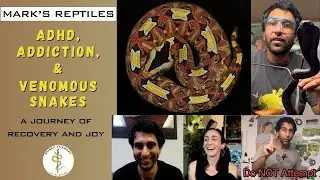 How Venomous Snakes Help ADHD, Addiction Recovery, and Inspire Joy (with Mark's Reptiles)