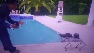 rip speed