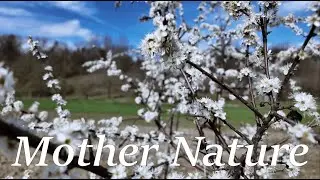 Mother Nature - 4K