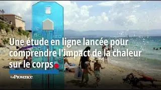 Une étude en ligne lancée pour comprendre l'impact de la chaleur sur le corps