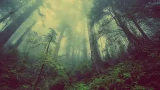 Homeshake - Faded (432 Hz) HQ