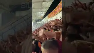 Edin Dzeko’nun şutu gol zannedilince Galatasaray taraftarının tepkisi ￼