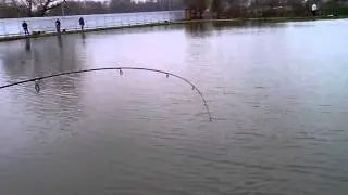 Лобня ,,ВНИИ кормов'' форель на 2560граммов увесистая штучка!