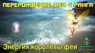 [BDO]Перерождение Феи 4-ого ранга с помощью Энергии королевы фей. Быстрая прокачка до 40-ого уровня!