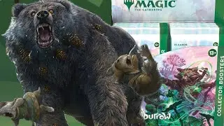 MTG BloomBurrows Collectors Box