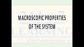 Video 2: Macroscopic Properties of The System