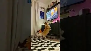 I CAN’T BELIEVE I caught those ADORABLE moment!! 