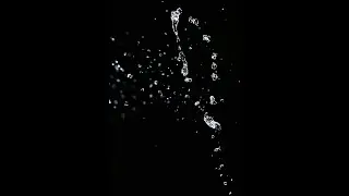 Chapter Three - The Separating