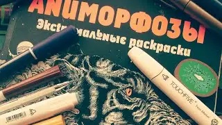 Быстренький обзор раскраски Аниморфозы