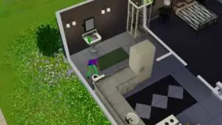 The Sims 3 Bad Video